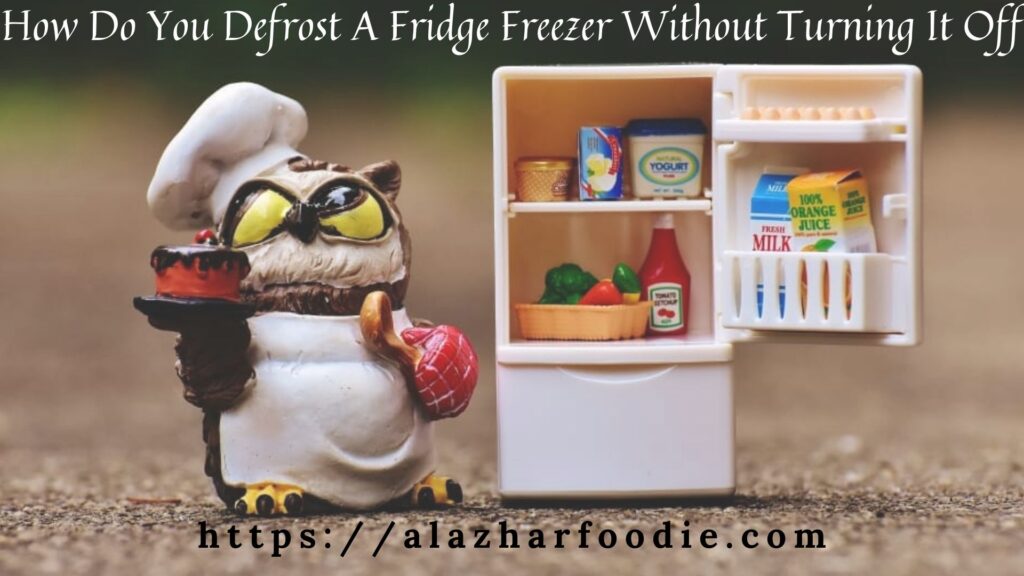 How Do You Defrost A Fridge Freezer Without Turning It Off