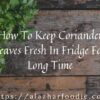 How To Keep Coriander Leaves Fresh In Fridge For Long Time