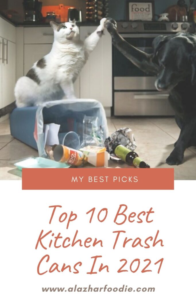 Top 10 Best Kitchen Trash Cans In 2021