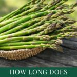 How Long Does Asparagus Keep