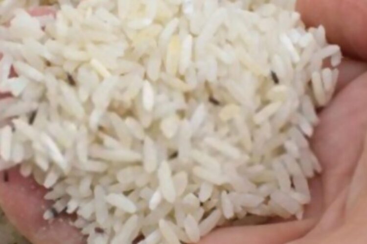 How To Prevent Bugs In Rice