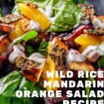 Wild rice mandarin orange salad recipe
