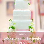 What size cake feeds 20 1