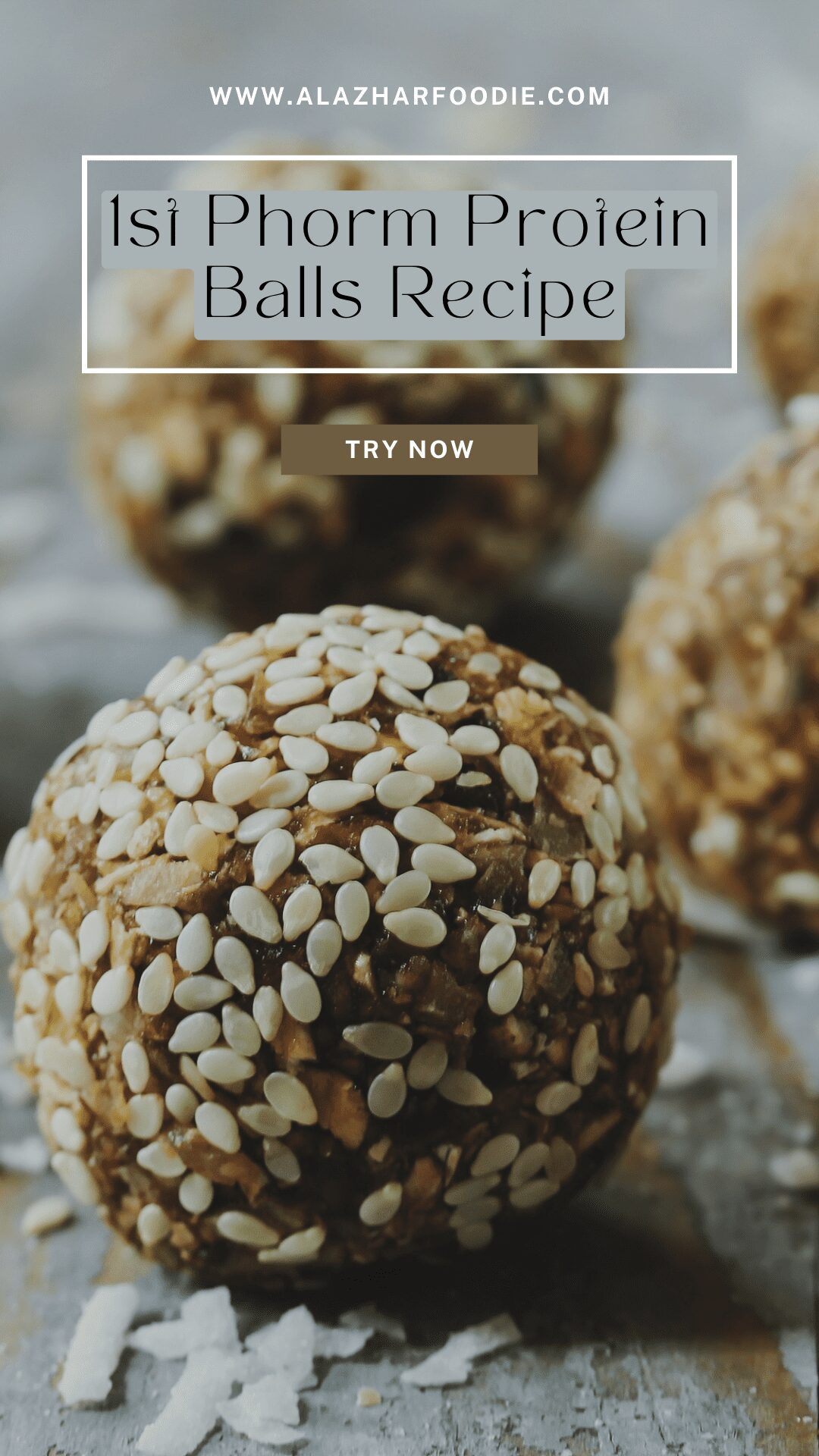 1st Phorm Protein Balls Recipe